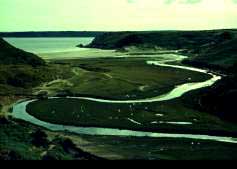 Gower3Cliffs4.JPG